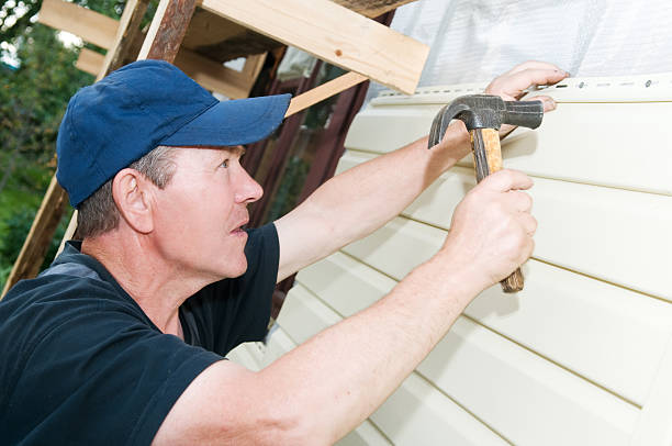 Best Historical Building Siding Restoration  in Belvidere, IL